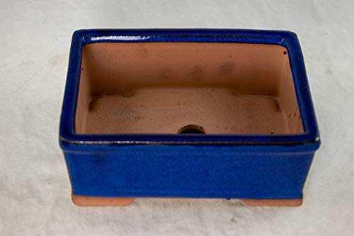 Rectangular Shohin Bonsai/Cactus & Succulent Pot + Mesh 6.25"x 4.75"x 2.5" Dark Blue