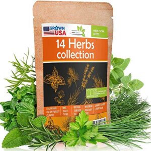 14 Culinary Herb Seeds Pack - Heirloom and Non GMO, Grown in USA - Indoor or Outdoor Garden - Basil, Parsley, Dill, Cilantro, Rosemary, Mint, Thyme, Oregano, Marjoram, Tarragon, Chives, Sage & More