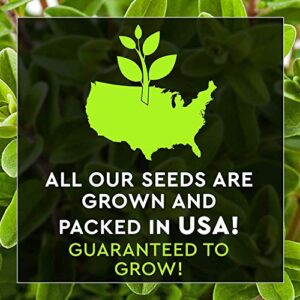 14 Culinary Herb Seeds Pack - Heirloom and Non GMO, Grown in USA - Indoor or Outdoor Garden - Basil, Parsley, Dill, Cilantro, Rosemary, Mint, Thyme, Oregano, Marjoram, Tarragon, Chives, Sage & More