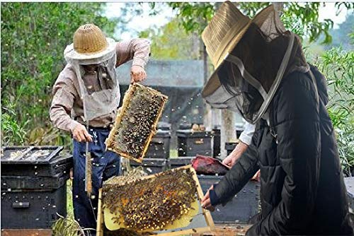 BeesNise Beekeeping Veil Hat Beekeeper Hat with Anti-bee Netting Professional Bee Keeping Supplies