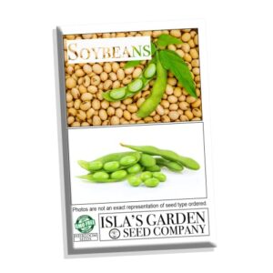 soybeans seeds for planting, 25+ heirloom seeds per packet, (isla's garden seeds), non gmo seeds, botanical name: glycine max, great home garden gift