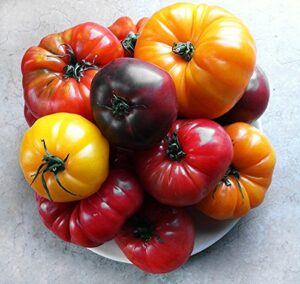 this is a mix!!! 30+ rainbow deluxe tomato seeds mix 16 varieties, heirloom non-gmo, indeterminate, old german, chocolate stripes, ukrainian purple, amish paste usa
