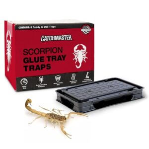 catchmaster scorpion glue tray traps 6-pack, adhesive scorpion killer for home, simple insect traps indoor, sticky bug catcher for kitchen, garage, & basement, pet safe pest control glue traps