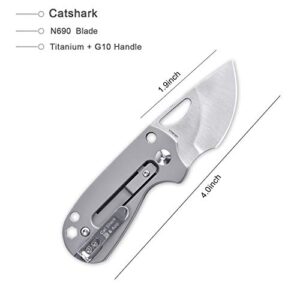 Kizer Catshark Folding Knives Non-Locking with 1.95 Inch N690 Blade Every Day Pocket Knife V256