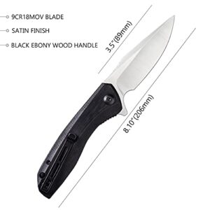 CIVIVI Baklash Flipper Pocket Knife Black Ebony Wood Handle (3.5'' Satin 9Cr18MoV) C801E