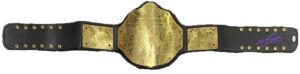 the undertaker signed autographed championship belt jsa authenticated wwe wwf - autographed wrestling robes, trunks and belts