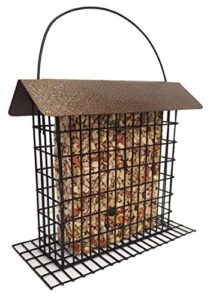 seed cake feeder for large seed cakes | holds 1 large 2 lb seed cake for wild birds