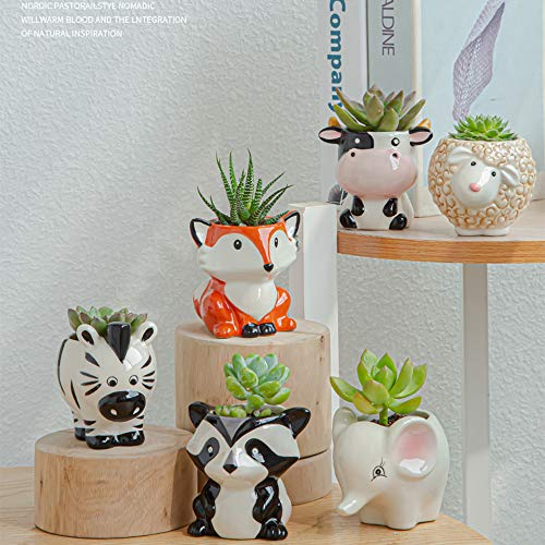 Gaolinci Mini Cute Ceramic Animal Flower Pot Succulent Plant Pot