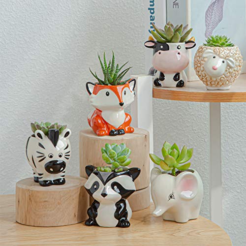 Gaolinci Mini Cute Ceramic Animal Flower Pot Succulent Plant Pot