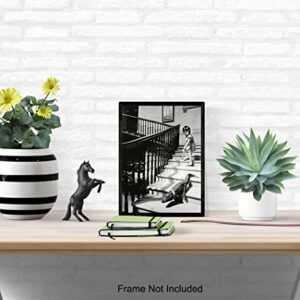 Goth Room Decor Photo - Funny Gothic Wall Art - New York City Wall Art Decor - Creepy Girl With Alligator Crocodile Vintage Picture - Weird Humorous Gift - 8x10 Photo