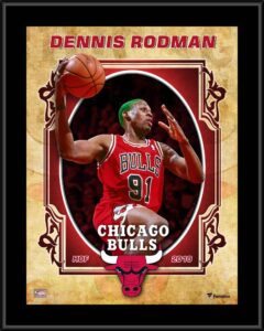 dennis rodman chicago bulls 10.5" x 13" sublimated hardwood classics player plaque - nba team plaques and collages