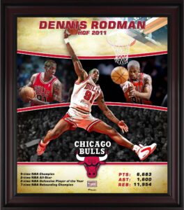 dennis rodman chicago bulls framed 15" x 17" hardwood classics player collage - nba player plaques and collages