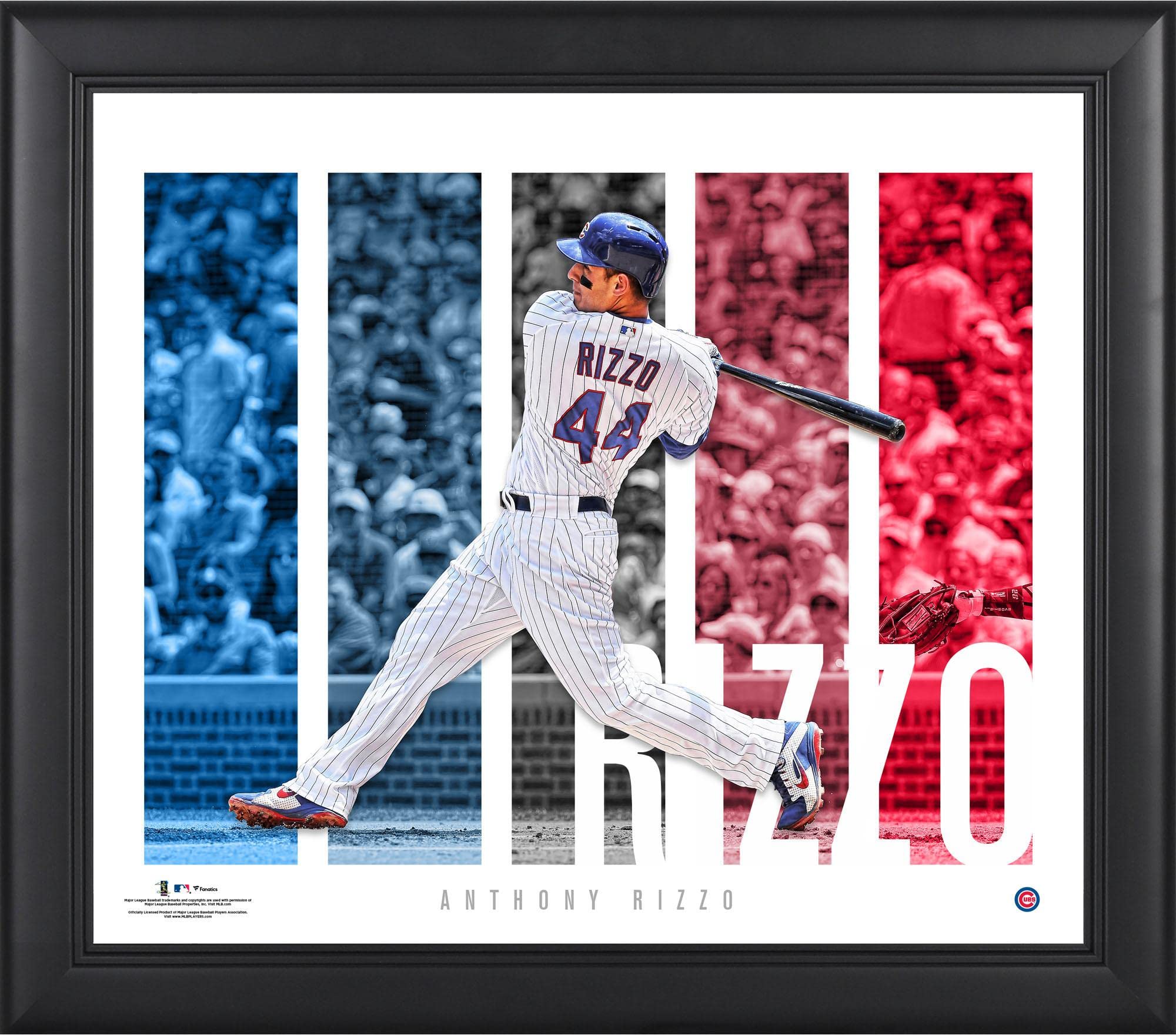 Anthony Rizzo Chicago Cubs Framed 15" x 17" Player Panel Collage - MLB Player Plaques and Collages