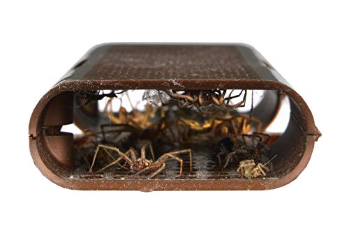 RESCUE! Spider Traps – Catches Brown Recluse, Hobo Spiders, Black Widows & Wolf Spiders - 2 Pack (6 Traps)