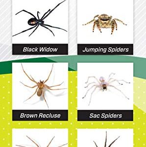 RESCUE! Spider Traps – Catches Brown Recluse, Hobo Spiders, Black Widows & Wolf Spiders - 3 Pack (9 Traps)