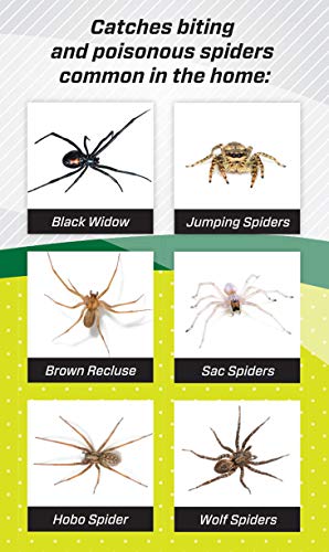 RESCUE! Spider Traps – Catches Brown Recluse, Hobo Spiders, Black Widows & Wolf Spiders - 3 Pack (9 Traps)