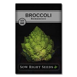 sow right seeds - romanesco broccoli seeds for planting - non-gmo heirloom packet with instructions to plant an outdoor home vegetable garden - great for salads - abundant harvest - cold hardy (1)