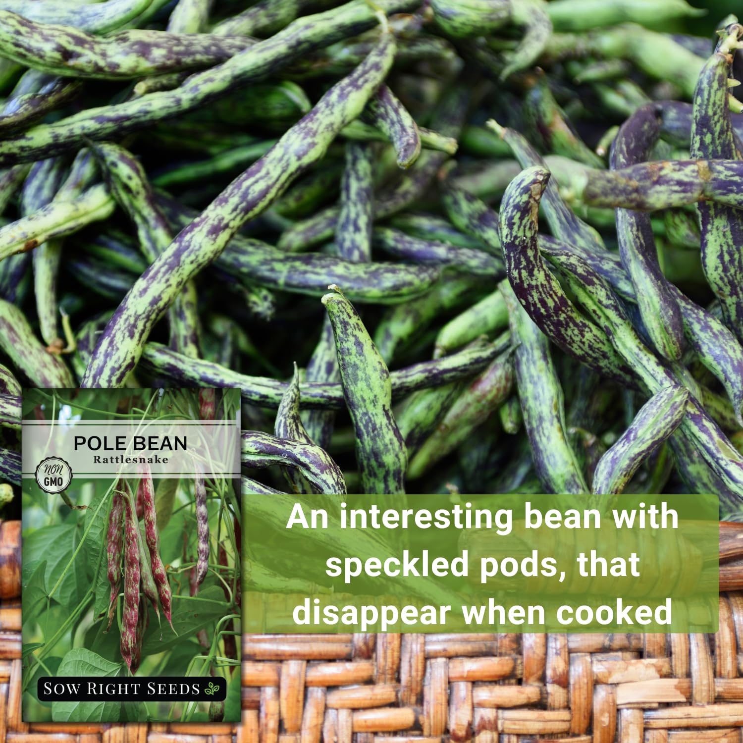 Sow Right Seeds - Rattlesnake Pole Bean Seeds for Planting - Non-GMO Heirloom Packet with Instructions to Plant an Outdoor Home Vegetable Garden - Stringless Variety - Tender with Purple Streaks (1)