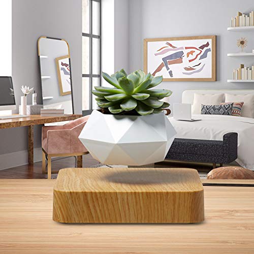 HOMEXXPRESS Levitating Plant- Floating Plant Pot - Magnetic Planter 360-Degree Rotation - Home Desk Office Kitchen Indoor Decor - Succulent Bonsai Air Plant - Maceta Flotante (Light Brown)