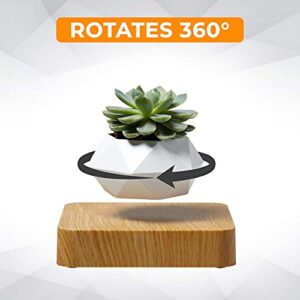 HOMEXXPRESS Levitating Plant- Floating Plant Pot - Magnetic Planter 360-Degree Rotation - Home Desk Office Kitchen Indoor Decor - Succulent Bonsai Air Plant - Maceta Flotante (Light Brown)