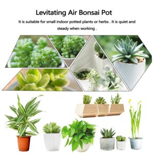 DRESSPLUS New Magnetic Levitation Air Bonsai Pot,Creative Mini Sky-Garden Rotating Flower Pot Planter, for Home & Garden Desk Decoration and Gifts (Light Wooden Color)