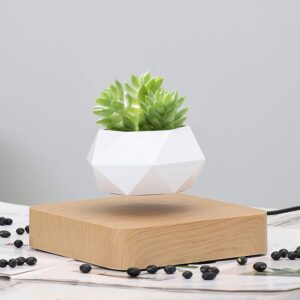 DRESSPLUS New Magnetic Levitation Air Bonsai Pot,Creative Mini Sky-Garden Rotating Flower Pot Planter, for Home & Garden Desk Decoration and Gifts (Light Wooden Color)