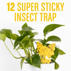 Fruit Fly Traps Indoor (Shapes, 24-Pack), Yellow Sticky Traps for Gnats, Gnat Killer for Indoor - Fruit Fly Trap for Kitchen - Fungus Gnat Traps House Plants, Yellow Sticky Fly Traps