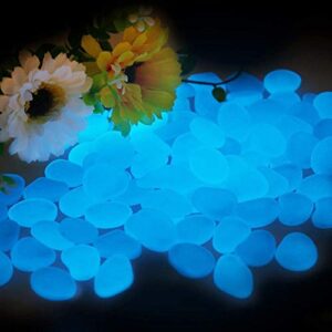 WenErJie Glow in The Dark Rocks, 500PCS Fairy Garden Decorations Stones, Outdoor Decor for Patio Stepping Stone Kit, Pebbles for Plants/Yard/Backyard/Fish Tank/Pool Stuff (Blue/500pcs)