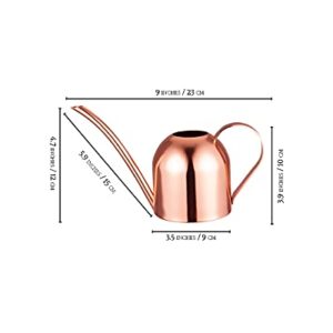 ALIVE CENTRAL Small Watering Can for Indoor Plants - Mini Watering Can - Rose Gold