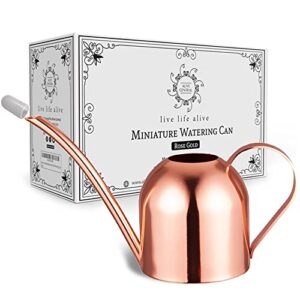alive central small watering can for indoor plants - mini watering can - rose gold