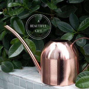 ALIVE CENTRAL Small Watering Can for Indoor Plants - Mini Watering Can - Rose Gold