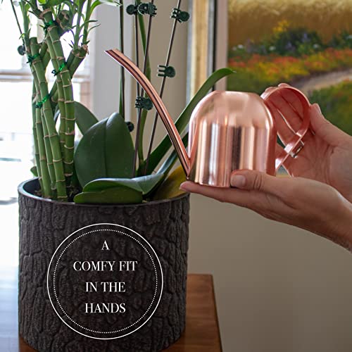 ALIVE CENTRAL Small Watering Can for Indoor Plants - Mini Watering Can - Rose Gold