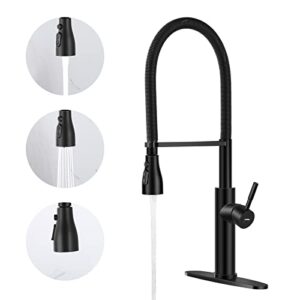 lonheo kitchen faucets, high arc stainless steel faucets with pull down sprayer (black)