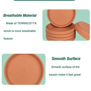 4 Inch Small Terracotta Pot Plant Saucer - 6 pcs Small Round Plant Pot Saucers, Small Clay Plant Trays Perfect for 3 Inch 3.5 Inch 4 Inch Flower Pot with Drainage Hole and Great for Indoor or Outdoor