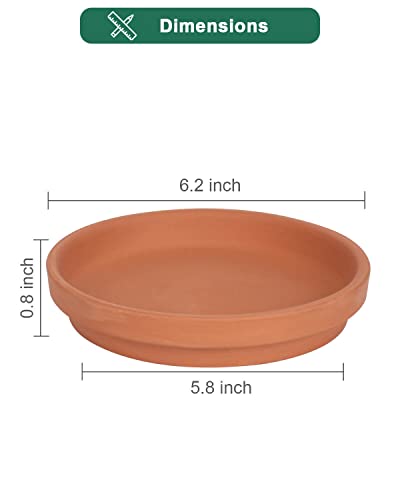 6 Inch Middle Terracotta Pot Plant Saucer - 6pcs Middle Round Plant Pot Saucers, Middle Clay Plant Tray Perfect for 5 Inch 5.5 Inch 6 Inch Flower Pot with Drainage Hole and Great for Indoor or Outdoor