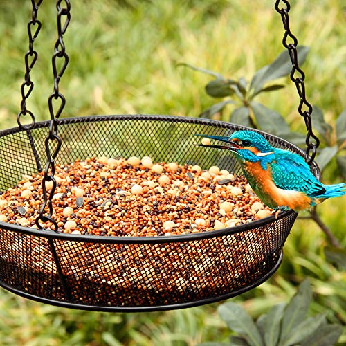 FORUP Platform Bird Feeder Hanging Tray, Metal Mesh Seed Tray for Outdoor Yard Garden Outside Backyard Decoration