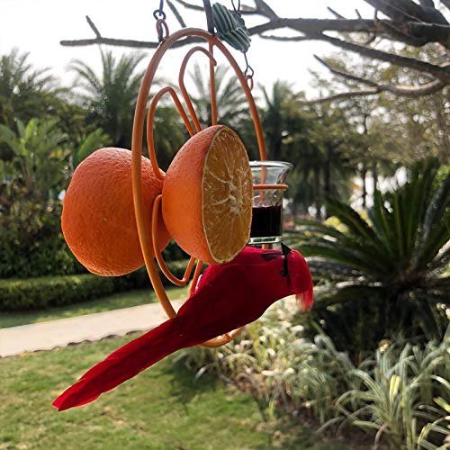 ALLADINBOX Oriole Bird Feeder, 17 inch Hanging Metal Bird Feeder,Detached Bowl Design,Orange Fruit Feeder,Great for Garden,Outdoor,Gift