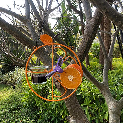 ALLADINBOX Oriole Bird Feeder, 17 inch Hanging Metal Bird Feeder,Detached Bowl Design,Orange Fruit Feeder,Great for Garden,Outdoor,Gift