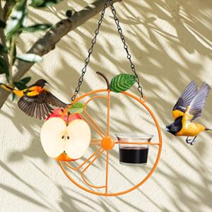 ALLADINBOX Oriole Bird Feeder, 17 inch Hanging Metal Bird Feeder,Detached Bowl Design,Orange Fruit Feeder,Great for Garden,Outdoor,Gift