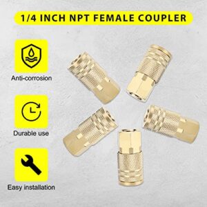 hynade 1/4 Inch NPT Brass Female Air Coupler, Pneumatic Plugs, Air Plug(1/4'' M-NPT)