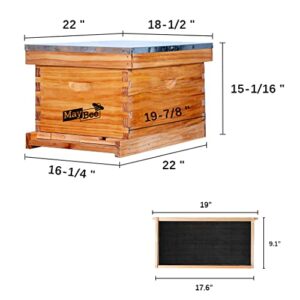 MayBee Beehive Starter Kit 10-Frame Bee Boxes and Frames Starter Kit Wax Coated Bee Hives and Supplies Starter Kit Including Beekeepig Tools Kit with Beekeeping Veil