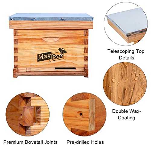 MayBee Beehive Starter Kit 10-Frame Bee Boxes and Frames Starter Kit Wax Coated Bee Hives and Supplies Starter Kit Including Beekeepig Tools Kit with Beekeeping Veil