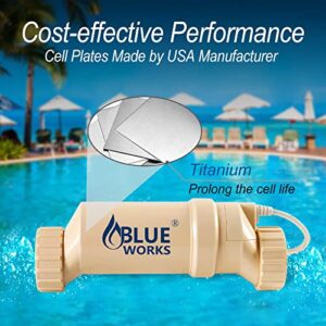 BLUE WORKS Saltwater Pool Chlorine Generator System BLSC Chlorinator for 20K Above Ground Pool & Flow Switch | Cell Plates provided by American Company