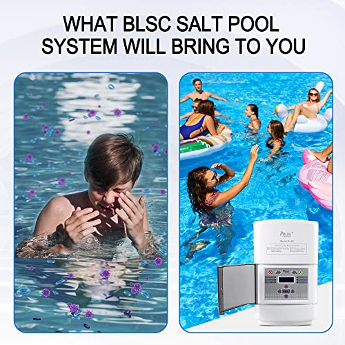 BLUE WORKS Saltwater Pool Chlorine Generator System BLSC Chlorinator for 20K Above Ground Pool & Flow Switch | Cell Plates provided by American Company