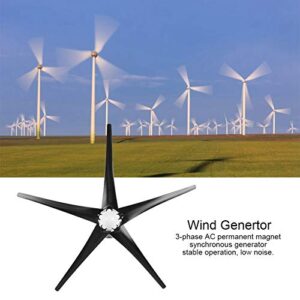 800W Windmill Generator, 5 Blade Small Wind Turbines Kit Industrial Energy Equipment (Black 12V)