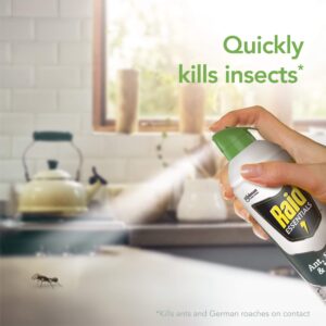 Raid Essentials Ant Spider, and Roach Killer Aerosol Spray, Child & Pet Safe, Kills Insects Quickly, for Indoor Use, 10 oz