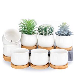 shecipin succulent plant pot, white mini 2.6 inch ceramic flower planter pot with bamboo tray, pack of 8 - plants not included