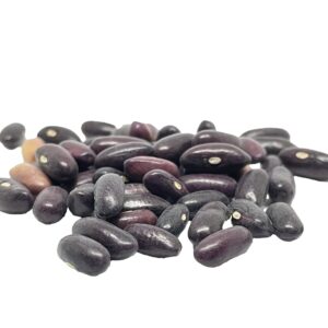 50 Green Bean Seeds for Planting - Provider - Bush Bean - Heirloom Non-GMO Vegetable Seeds for Planting