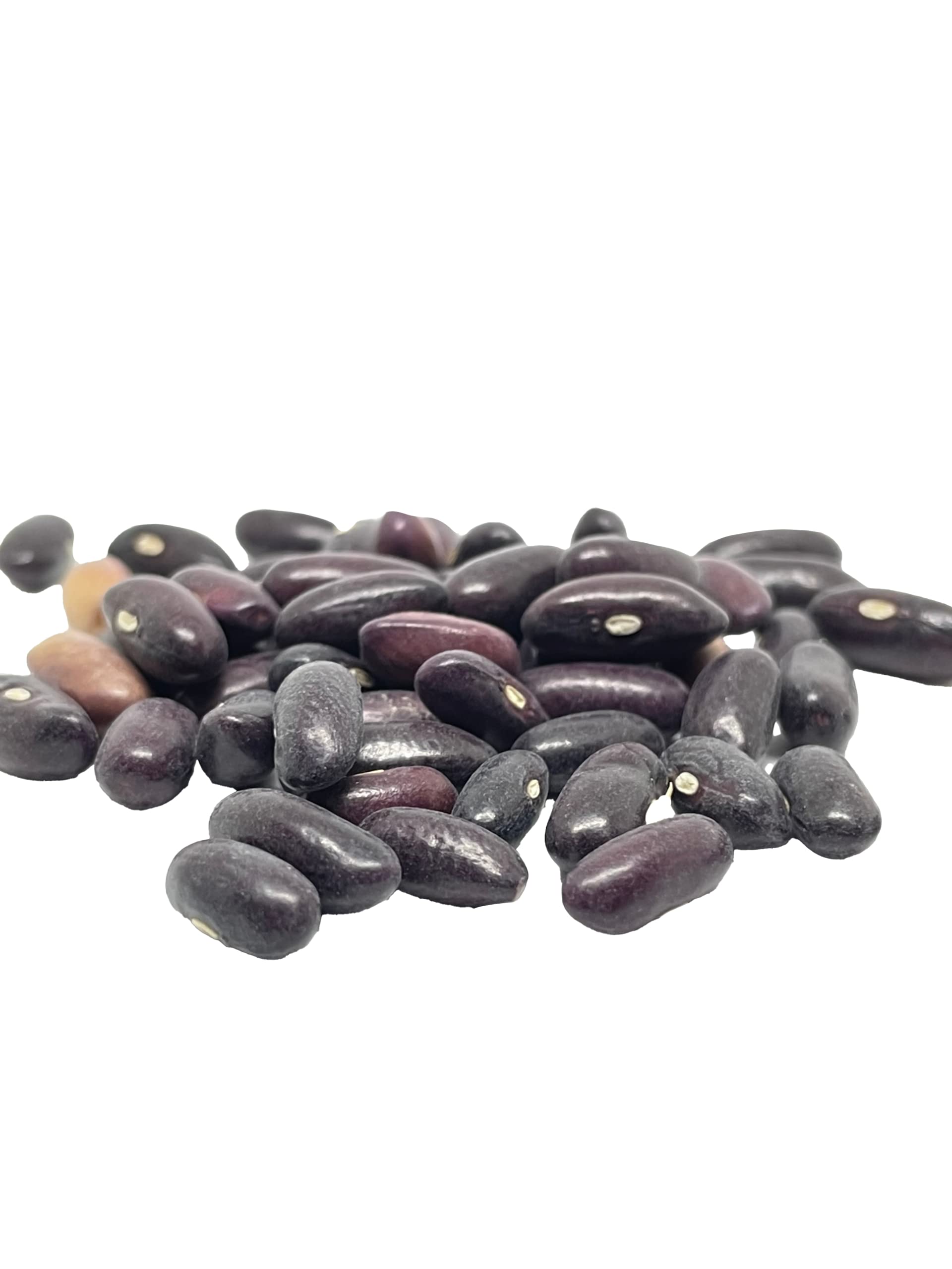 50 Green Bean Seeds for Planting - Provider - Bush Bean - Heirloom Non-GMO Vegetable Seeds for Planting