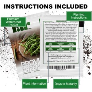 50 Green Bean Seeds for Planting - Provider - Bush Bean - Heirloom Non-GMO Vegetable Seeds for Planting